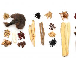 TCM Uebersicht Arzneitherapie