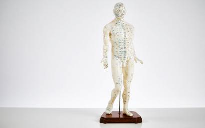 Lehrmaterialien zur Akupunktur