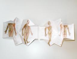 Praxis Publikationen Koerperakupunktur